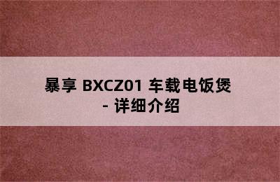 暴享 BXCZ01 车载电饭煲 - 详细介绍